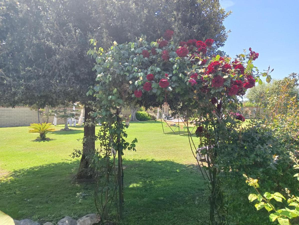 Elegance B&B Ladispoli Exteriör bild