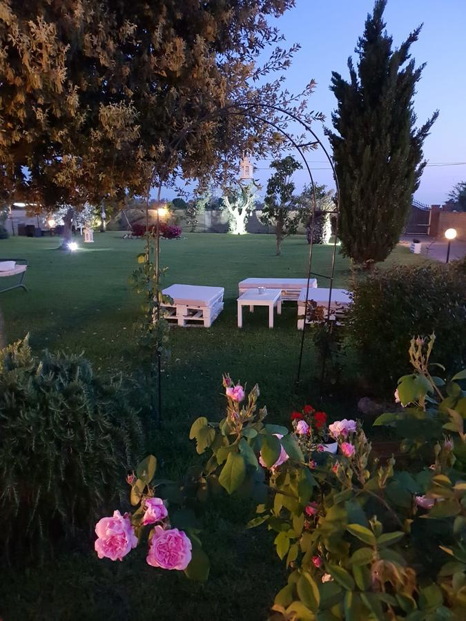 Elegance B&B Ladispoli Exteriör bild